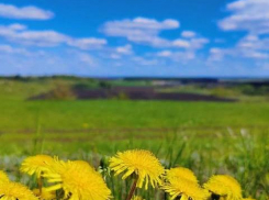 В Тамбовскую область пришло долгожданное тепло