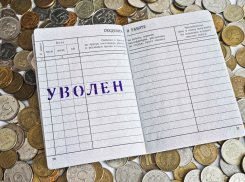 В Тамбовском районе бухгалтер сельсовета уволена в связи с утратой доверия