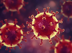 В Тамбовской области за сутки коронавирус выявлен у 156 человек
