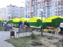 В Тамбове увеличат количество ярмарок и сократят число торговых павильонов