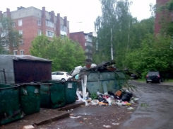 В Котовске власти до сих пор не убрали мусор после апрельских субботников