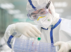 Роспотребнадзор опроверг слухи о коронавирусе в Тамбовской области