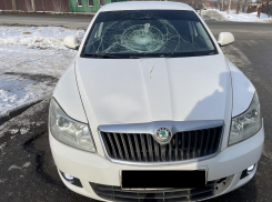 В Тамбове девушку с пешеходного перехода отправил в реанимацию заядлый нарушитель ПДД