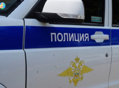 В Рассказовском округе осудили местного жителя за кражу собаки