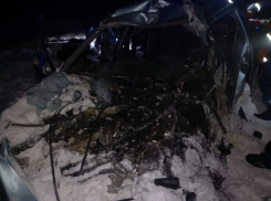 В Тамбовской области из-за столкновения «Daewoo Nexia» и грузовика погибли 3 человека