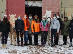 Тамбовским поисковикам теперь будут помогать конные расчёты