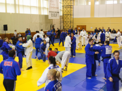 Сильнейшие дзюдоисты страны снова приедут в Тамбов на турнир имени Малина 