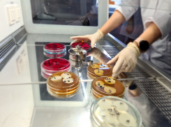 В Тамбове открылась новая лаборатория по контролю качества воды 