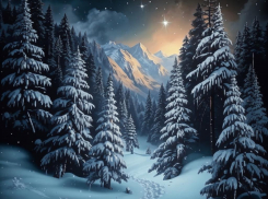 Ёлочные базары заработали в Тамбове: список адресов