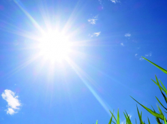 В выходные в Тамбове будет комфортная тёплая погода