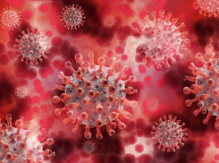 За сутки в Тамбовской области 8 детей заболели коронавирусом