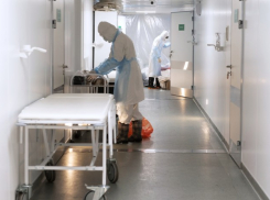 4427 выздоровевших, 41 заразившихся: динамика коронавируса за сутки