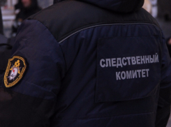 Региональный СК проверяет ООО «Производство кожи Рассказово»