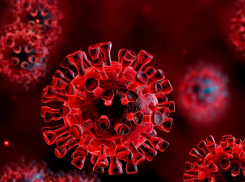 В Тамбовской области выявлено 54 новых случая заражения коронавирусом