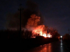 В Тамбовском районе сгорела пилорама