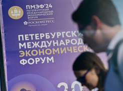 В Тамбовской области хотят построить ветряную электростанцию мощностью 157 Мвт