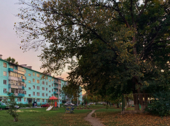 Тёплая и солнечная погода возвращается в Тамбов ко Дню знаний