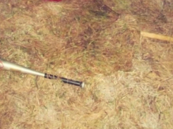 В Мичуринском районе муж ударил супругу битой, а после забил молотком