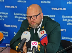 Ещё один министр может покинуть тамбовское правительство