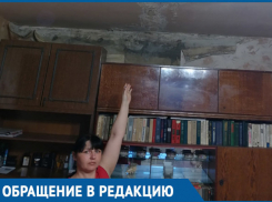 Мох на потолке. Будни дома на Полынковской с бесконечно текущей крышей