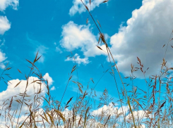 Тамбовскую область накроет аномальная жара 