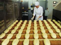 Тамбовский хлебокомбинат приобрёл «Мельницу Кирова»