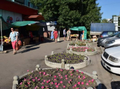 Микрорынок на улице Куйбышева сохранят