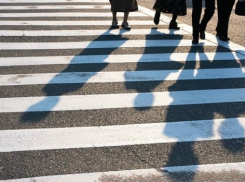 Вежливости тамбовских водителей у пешеходных переходов будет посвящен рейд ГИБДД 
