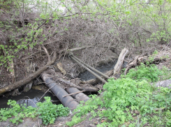 Ждёт ли Студенец спасение или очередное забвение? Часть 2