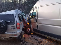 Два человека погибли на дороге Тамбов-Пенза в Рассказовском округе