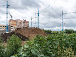 Крупного тамбовского застройщика признали банкротом из-за долга почти в полмиллиарда рублей