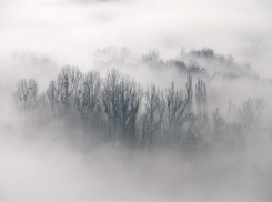 Погода в регионе: сильный ветер, туман и плюсовые температуры