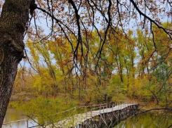 Выходные в Тамбове будут облачными и тёплыми