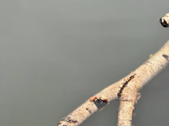 Тамбовское минэкологии выставило счет «РКС-Тамбов» за ущерб ручью