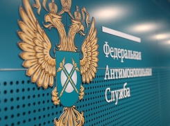 Платная «Скорая помощь» в Тамбове оказывала услуги, не имея на них лицензии
