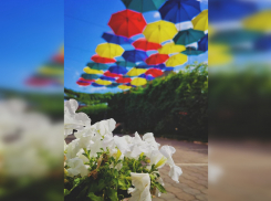 Зонты не нужны: День знаний в Тамбове будет ясным и жарким