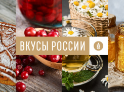 На «Вкусы России» от региона отправятся сыр, икра и мёд