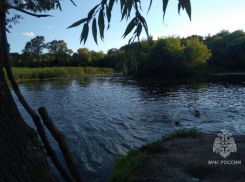 В Тамбовской области из пруда в деревне Беломестная Двойня вытащили труп мужчины