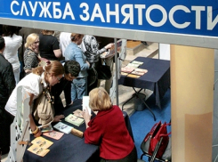  Тамбовская область в числе регионов-лидеров по занятости населения