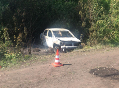 В Тамбовской области иномарка улетела в кювет и загорелась