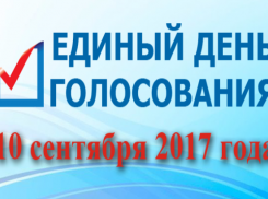 Сообщить о нарушениях на выборах и задать вопрос можно по «горячей линии»