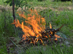 В лесах Тамбовской области запрещено разжигать костры