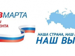 Лидером по количеству пришедших на выборы в области стал Сосновский район 