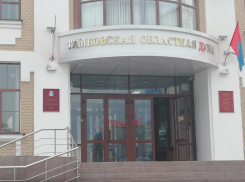 Три депутата облдумы привлечены к ответственности за декларации о доходах