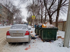 В Тамбове планируют ввести новые штрафы за нарушения Правил благоустройства
