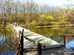 Глава Котовска Алексей Плахотников: «Всё равно неразумные котовчане сломают»