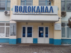 Глава Тамбова требует от Водоканала решить вопрос с качеством воды
