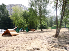 В Тамбове откроют ещё четыре площадки для выгула собак