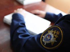 СУ СКР по Тамбовской области возбуждено дело по факту смерти матери и ребёнка в Никифоровском округе 