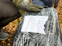 В Тамбовской области задержали мужчину с 40 килограммами наркотиков   